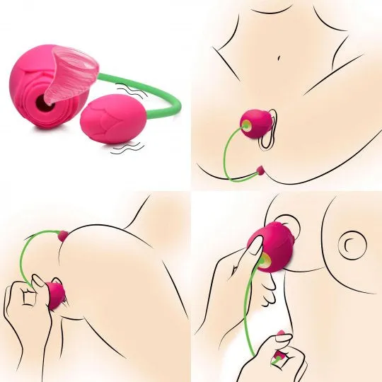 Bloomgasm Rose Duet Sucking Rose and Vibrating Rosette Nice and nasty Bz Vibrators