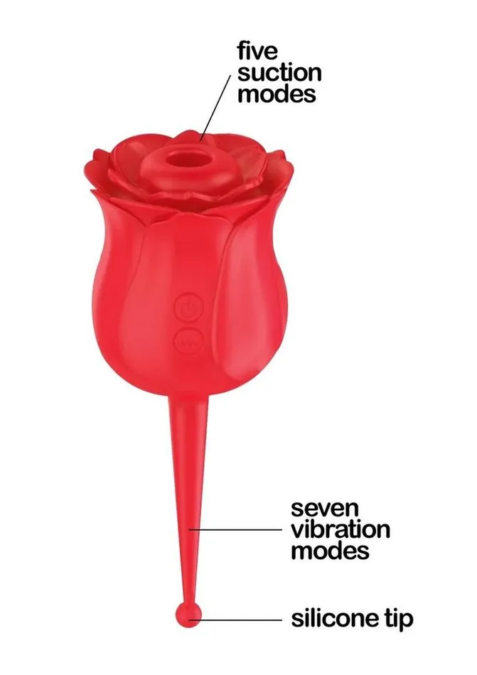 Female Sex Toys Wild Rose Wild Rose Le Point Rechargeable Silicone Suction Vibrator