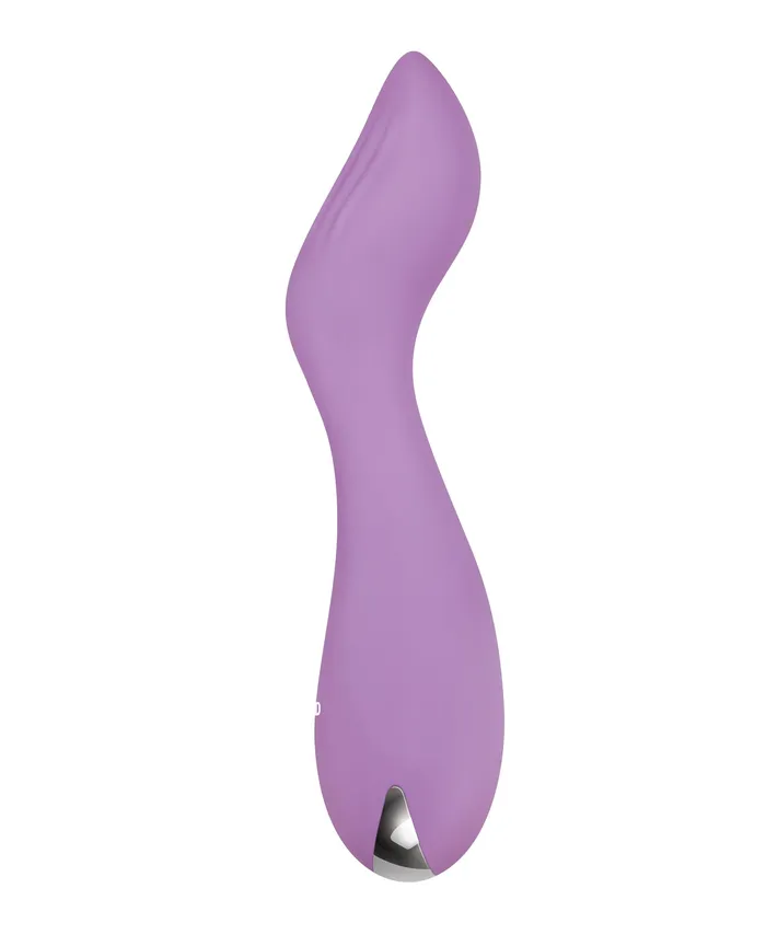 Vibrators Evolved Novelties INC Evolved Lilac G Petite G Spot Vibe Purple