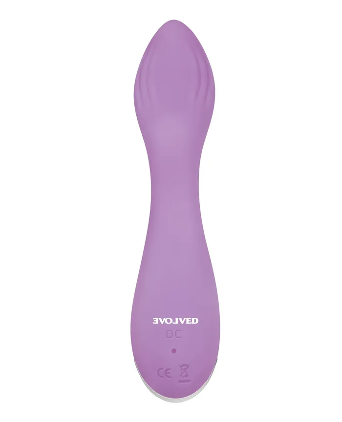 Vibrators Evolved Novelties INC Evolved Lilac G Petite G Spot Vibe Purple