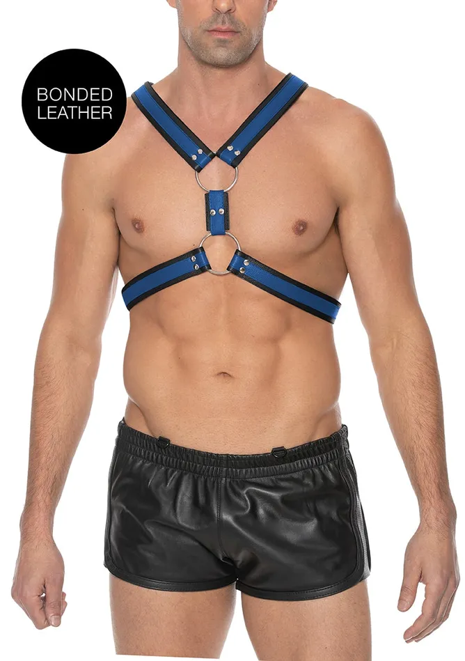 Vibrators Shots America Scottish Harness Lxl Blue