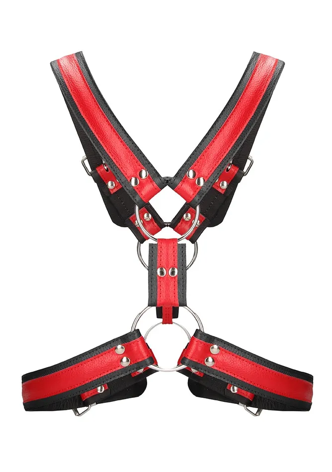 Vibrators Shots America Scottish Harness Lxl Red